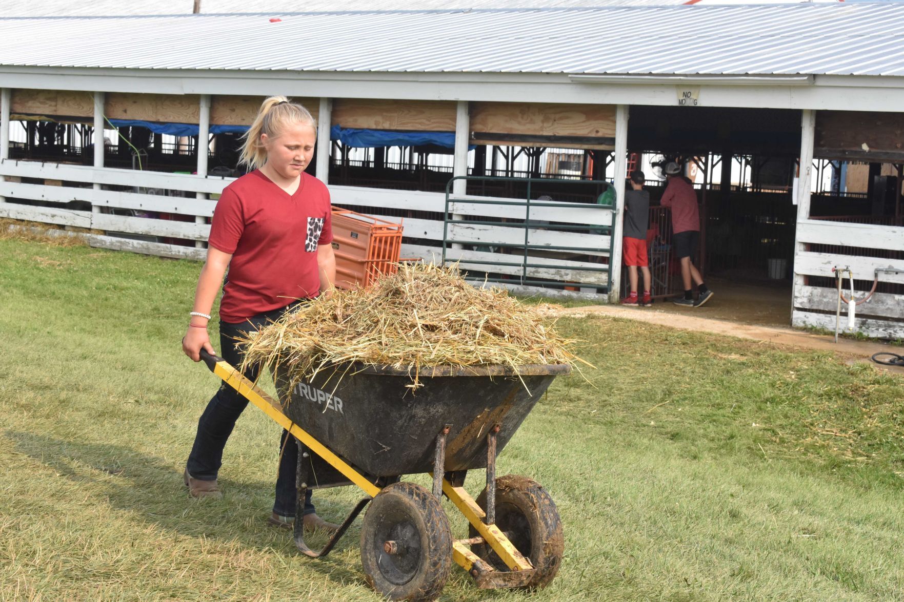 Sauk County Fair